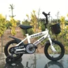 f0606a89e0744cc988d87656b14f4582-goods.webp Lightweight Iron Frame Kids Bike