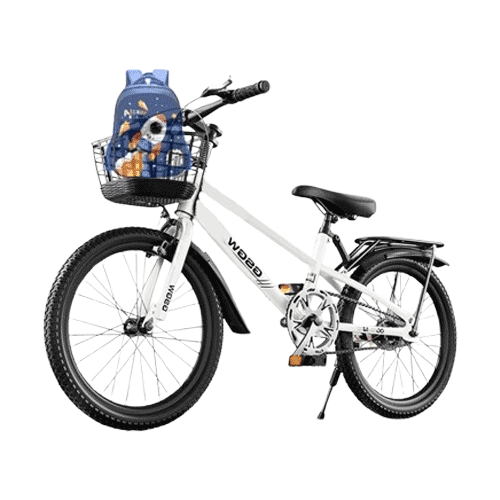 Kids Mountain Bike with Back Seat 20inch
